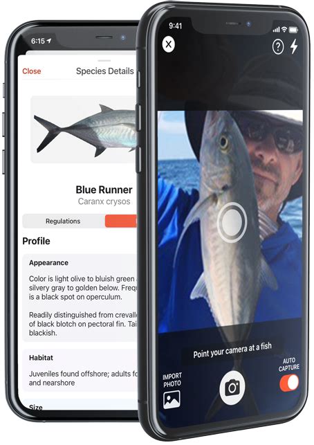 fishverify|FishVerify – Species Identification & Local Fishing Regulations.